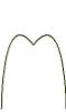 Tooth shape 2