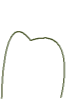 Tooth shape 4