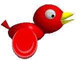 bird